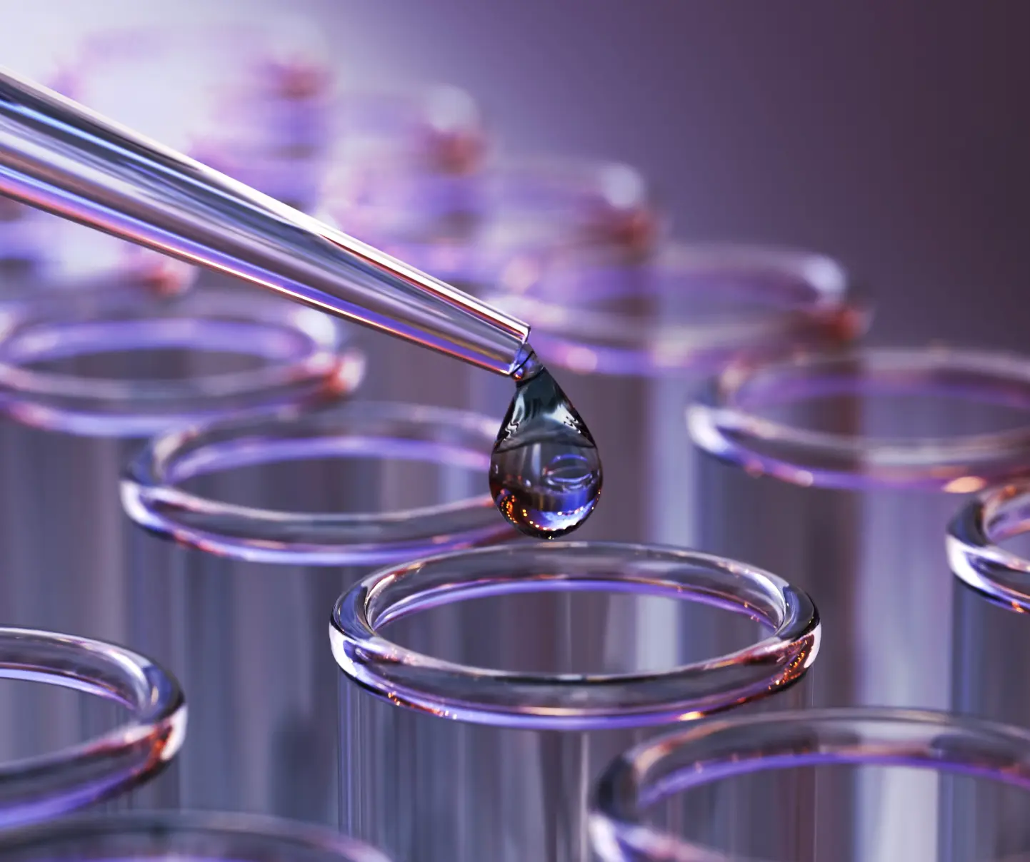 Security, regulation, and data expertise in the healthcare sector.